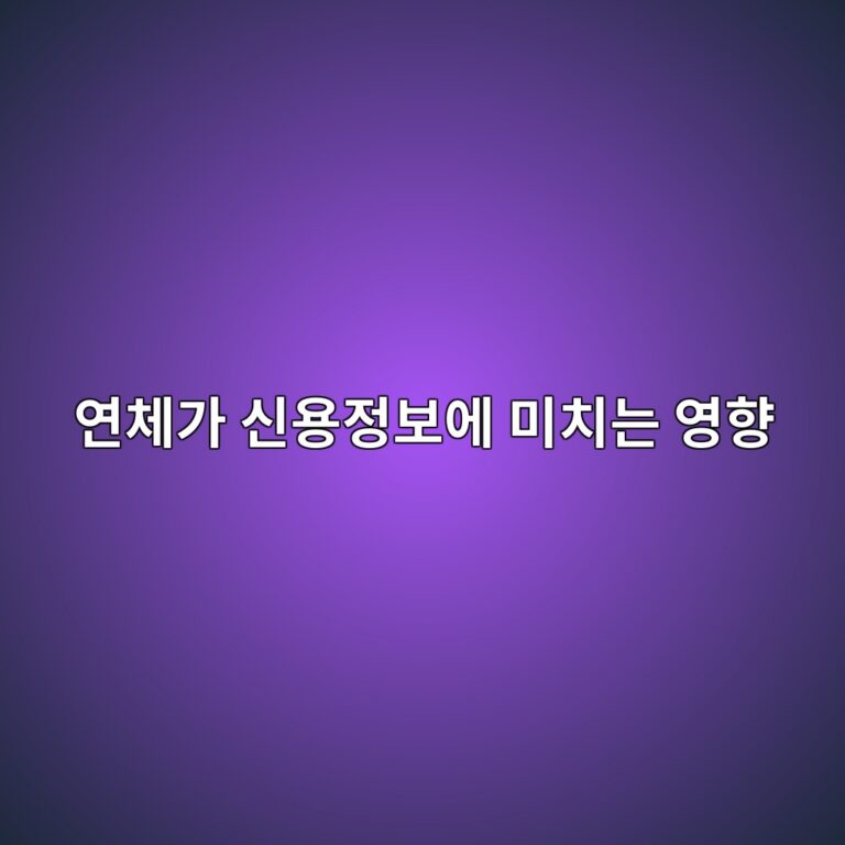 연체가 신용정보에 미치는 영향