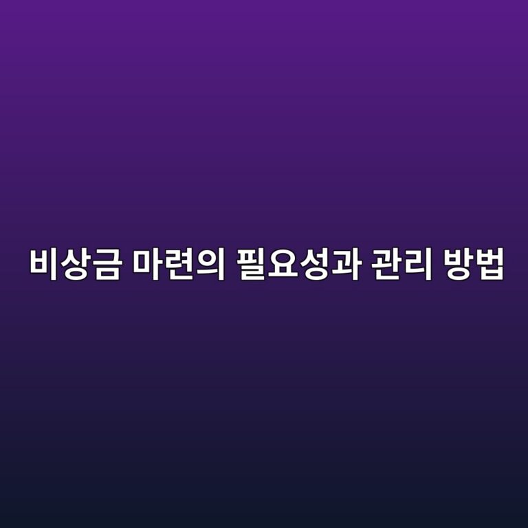 비상금 마련의 필요성과 관리 방법